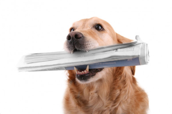 Житель белгородского Мурома подорвался на мине