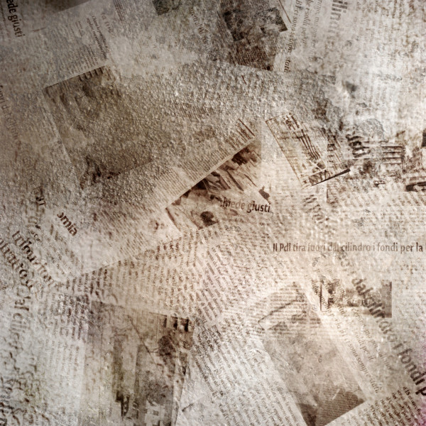 Суд обязал предприятие разработать проект освоения лесов в Шпаковском округе