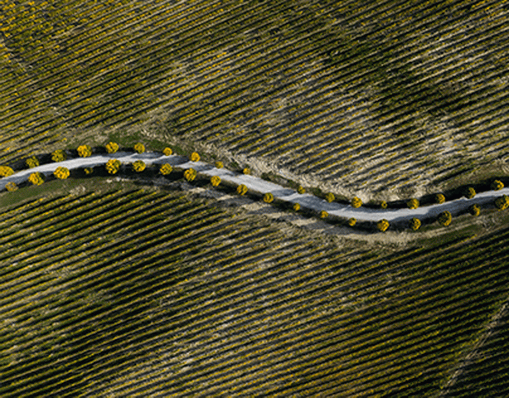 Жителя Белгорода приговорили к 16 годам лишения свободы за финансирование ВСУ